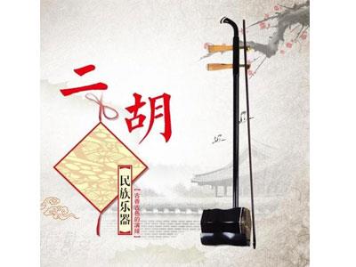 招聘湛江二胡家教老师